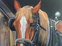 Anya  16x20